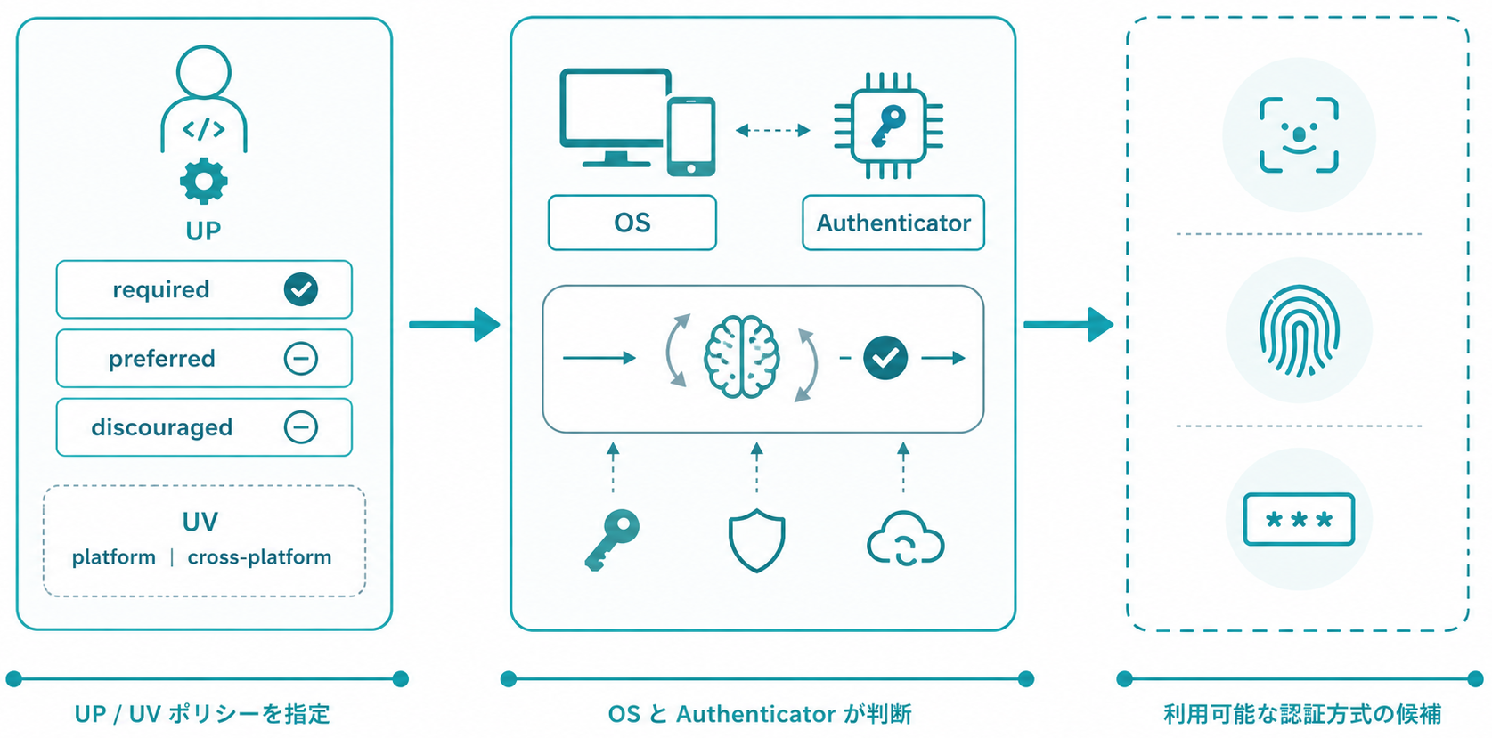左にWebサービス開発者が指定するUser Verificationのポリシー、中央にOSとAuthenticatorの判断、右に顔認証、指紋認証、PINの候補を配置し、開発者は個別の生体認証方式を直接選ばないことを示す横長ワイドのインフォグラフィック。文字はUP、UV、required、preferredなど最小限にし、白背景、青緑系の法人向けデザインとする。